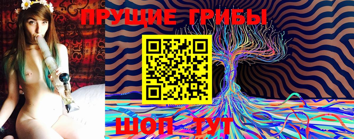 купить  сайты  Псилоцибиновые грибы MAGIC MUSHROOMS  Вход с VPN  Чапаевск 